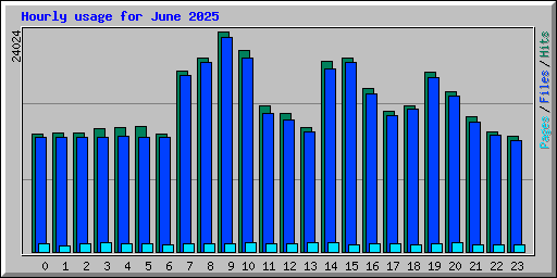 Hourly usage for June 2025