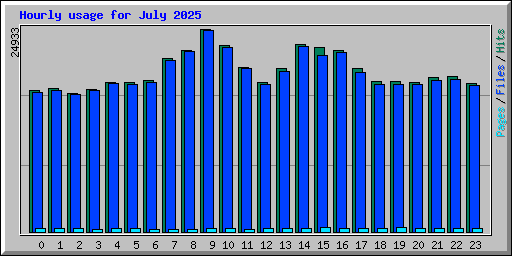 Hourly usage for July 2025