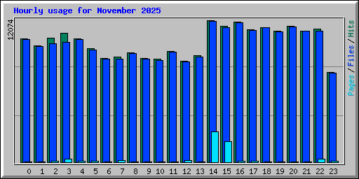 Hourly usage for November 2025
