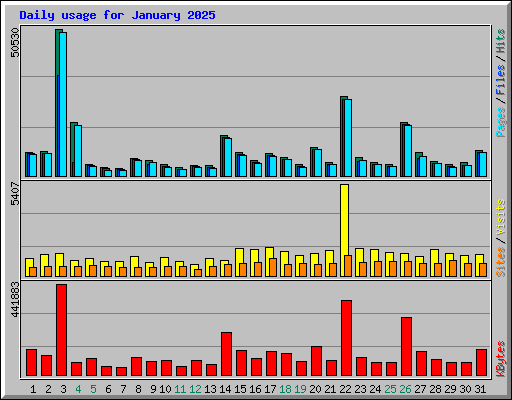 Daily usage for January 2025