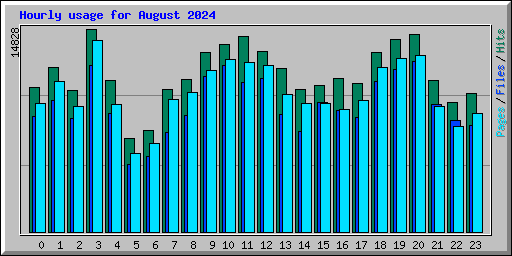 Hourly usage for August 2024