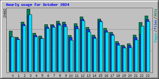 Hourly usage for October 2024