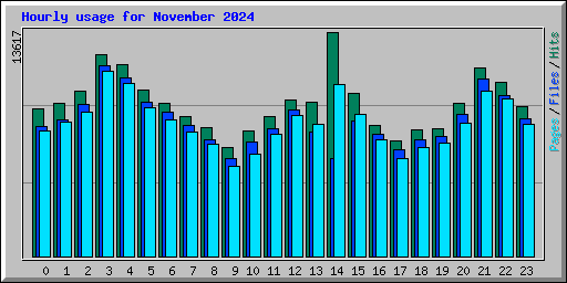 Hourly usage for November 2024