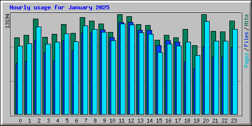 Hourly usage for January 2025