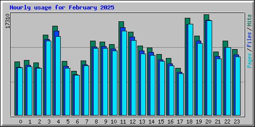 Hourly usage for February 2025
