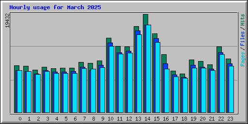 Hourly usage for March 2025