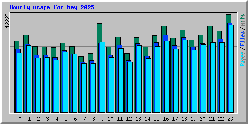 Hourly usage for May 2025