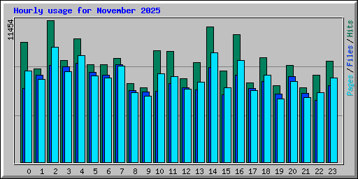 Hourly usage for November 2025