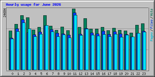 Hourly usage for June 2026