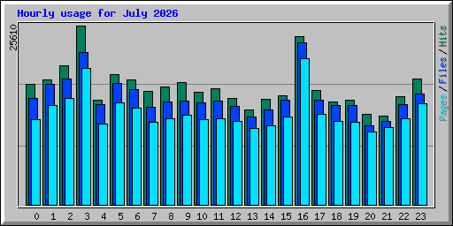 Hourly usage for July 2026