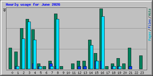 Hourly usage for June 2026