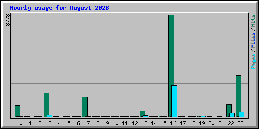Hourly usage for August 2026