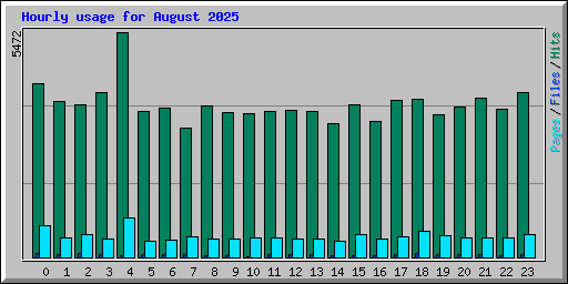Hourly usage for August 2025