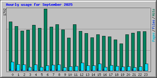 Hourly usage for September 2025