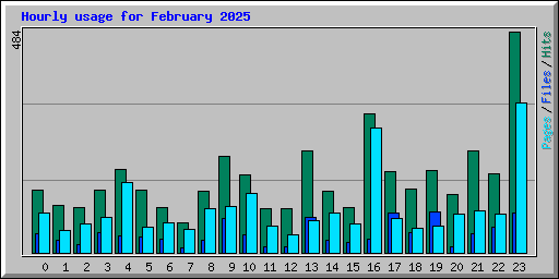 Hourly usage for February 2025