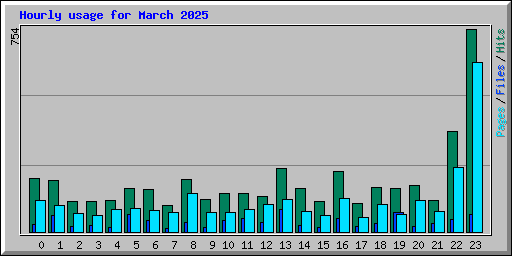 Hourly usage for March 2025