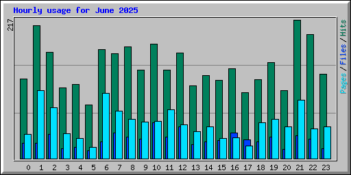 Hourly usage for June 2025
