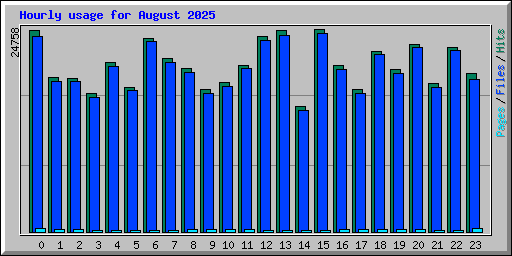 Hourly usage for August 2025
