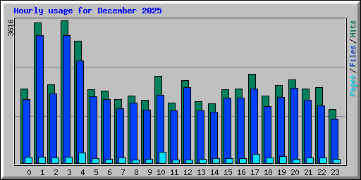 Hourly usage for December 2025