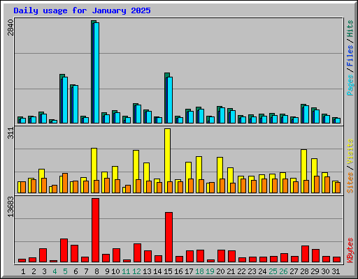Daily usage for January 2025