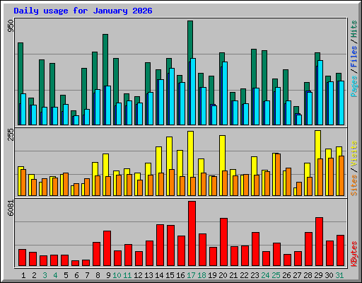 Daily usage for January 2026