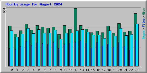 Hourly usage for August 2024
