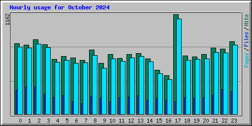 Hourly usage for October 2024