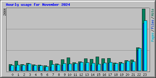 Hourly usage for November 2024