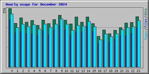 Hourly usage for December 2024