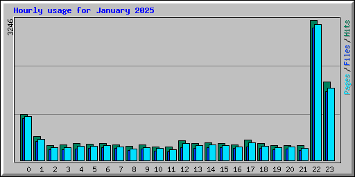 Hourly usage for January 2025