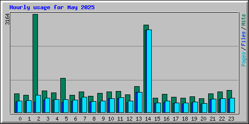 Hourly usage for May 2025