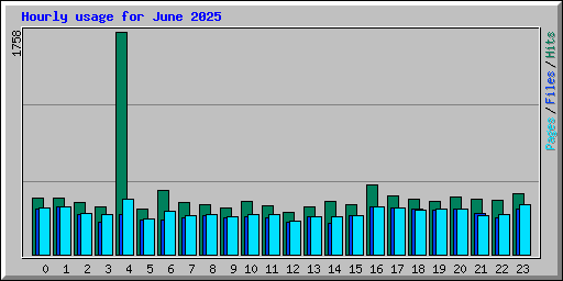 Hourly usage for June 2025