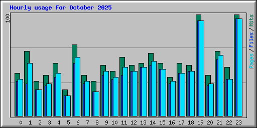 Hourly usage for October 2025
