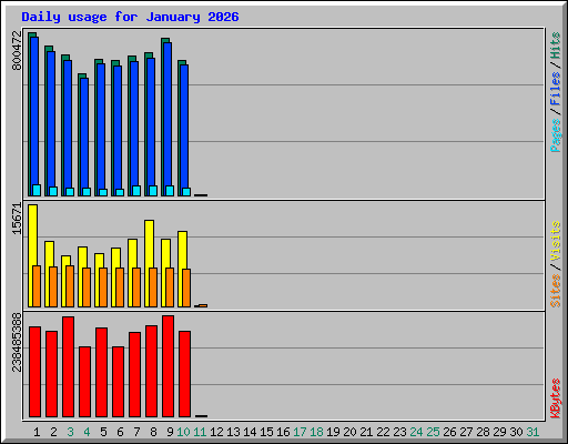 Daily usage for January 2026
