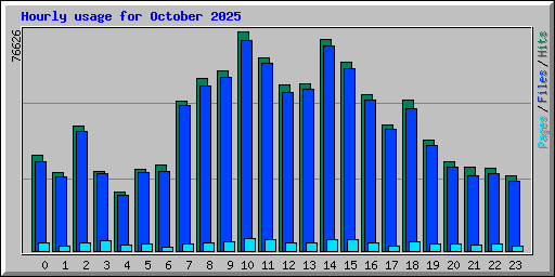 Hourly usage for October 2025
