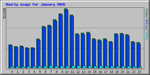 Hourly usage for January 2026