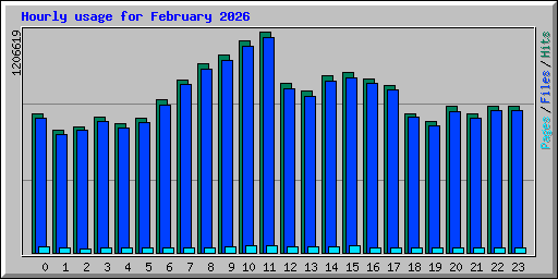 Hourly usage for February 2026