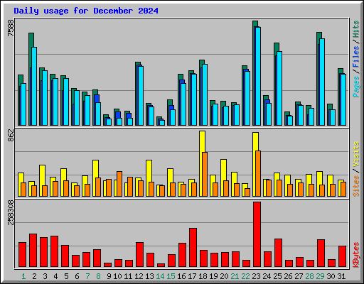 Daily usage for December 2024