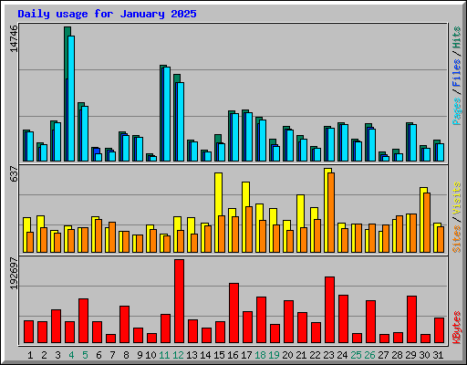 Daily usage for January 2025