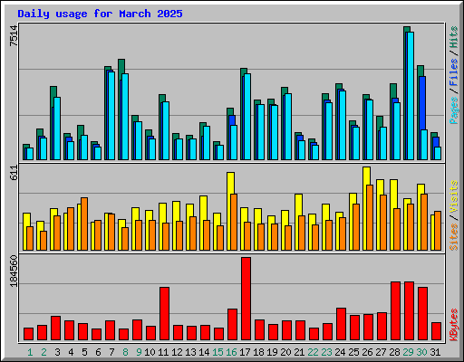 Daily usage for March 2025