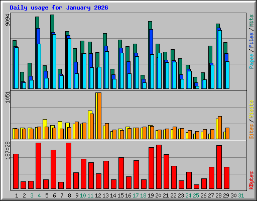Daily usage for January 2026