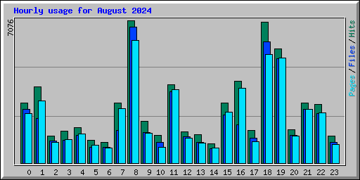 Hourly usage for August 2024