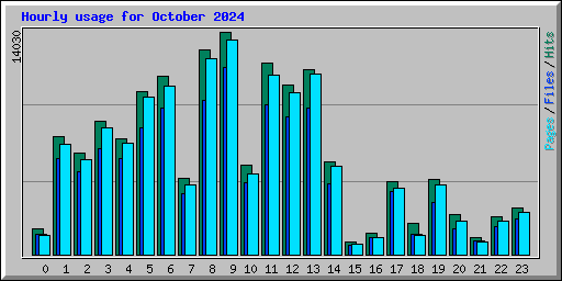 Hourly usage for October 2024