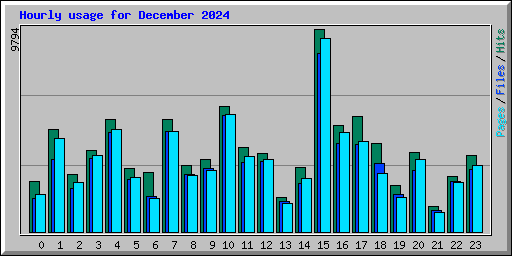 Hourly usage for December 2024
