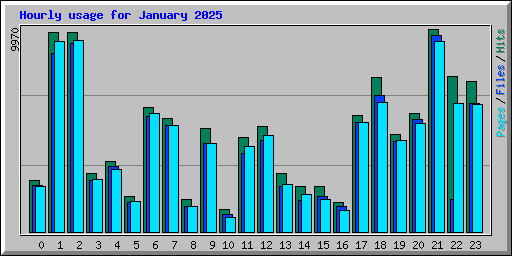 Hourly usage for January 2025
