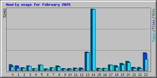 Hourly usage for February 2025