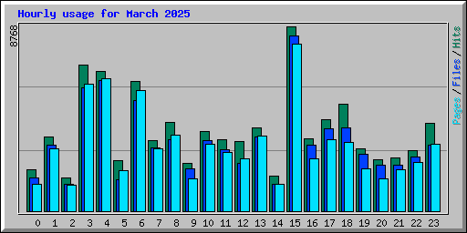 Hourly usage for March 2025