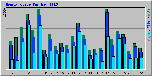 Hourly usage for May 2025