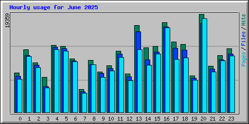 Hourly usage for June 2025
