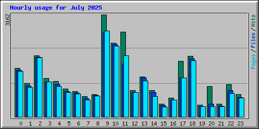 Hourly usage for July 2025